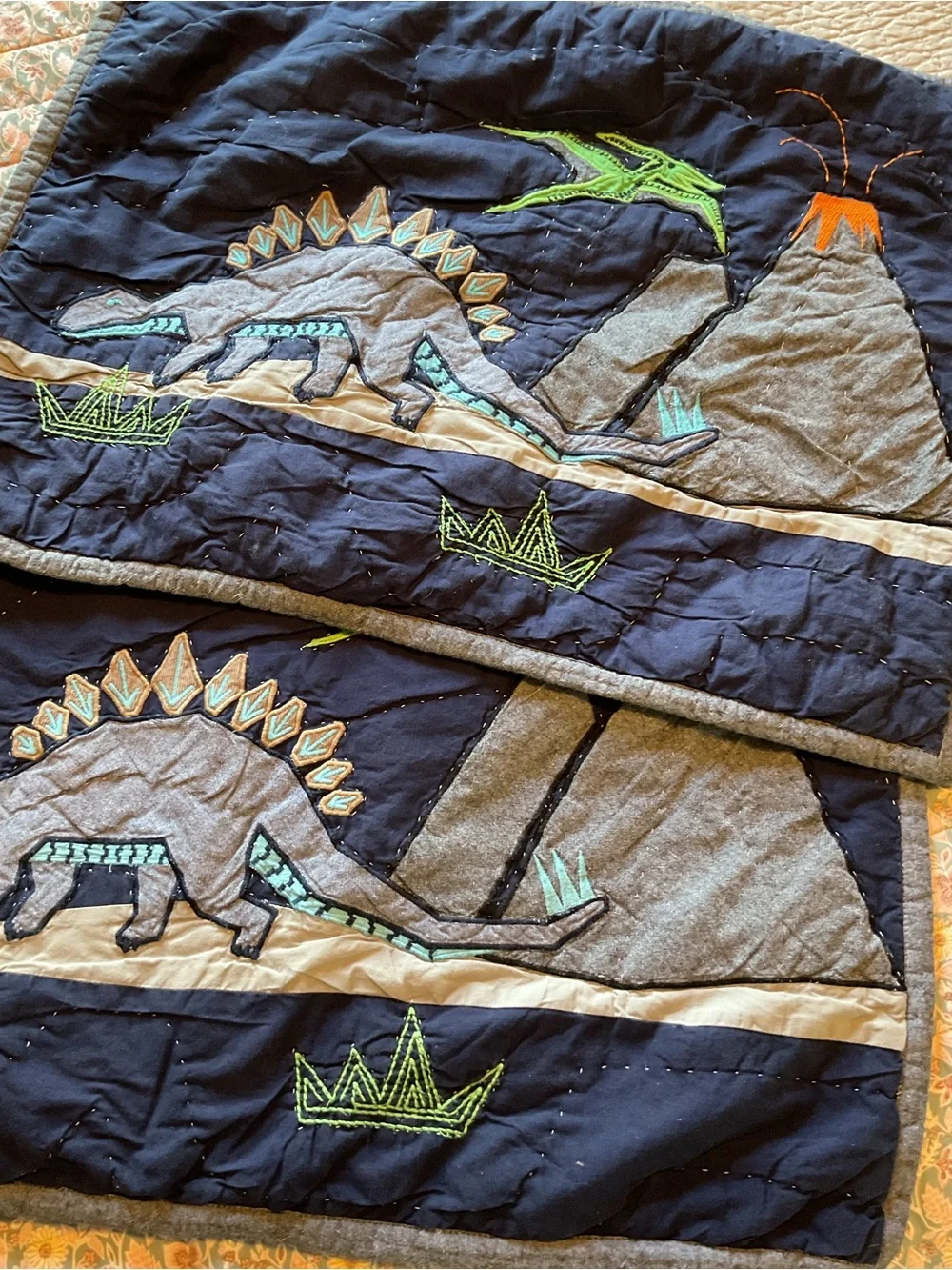 Pottery Barn Kids Dinosaur Quilted Two Shams